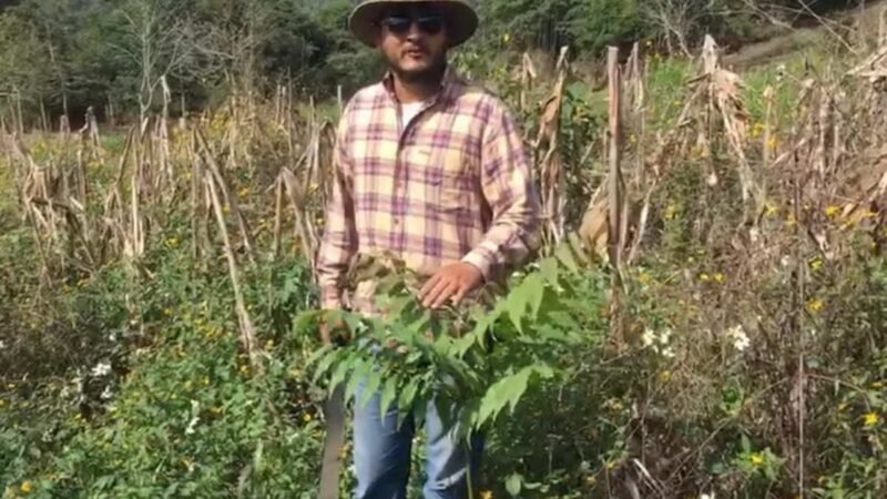 UN ÉXITO, REFORESTACIÓN EN MANANTIAL DE HUATUSCO