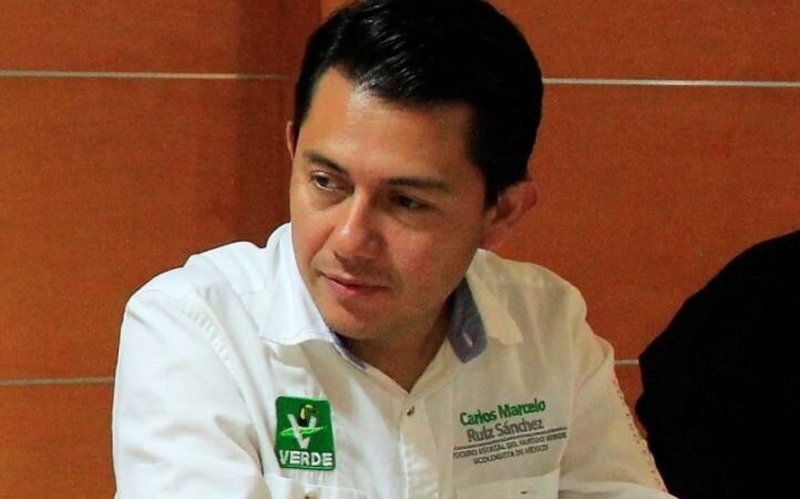 PARTIDO VERDE BUSCA ALIANZA CON MORENA EN 2021