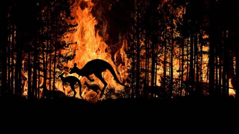 CONTROLAN INCENDIOS EN AUSTRALIA