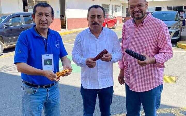 EMPRENDEN RESCATE DE SEMILLAS DE MAÍZ CRIOLLO