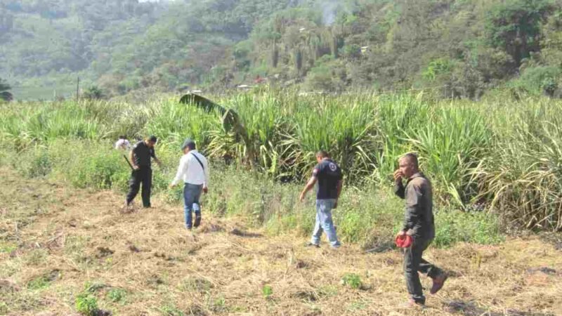 MUERE AL QUERER SOFOCAR INCENDIO