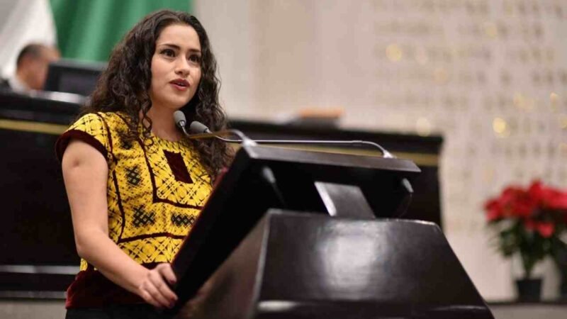 DIPUTADA PIDE NO POLITIZAR FEMINICIDIOS