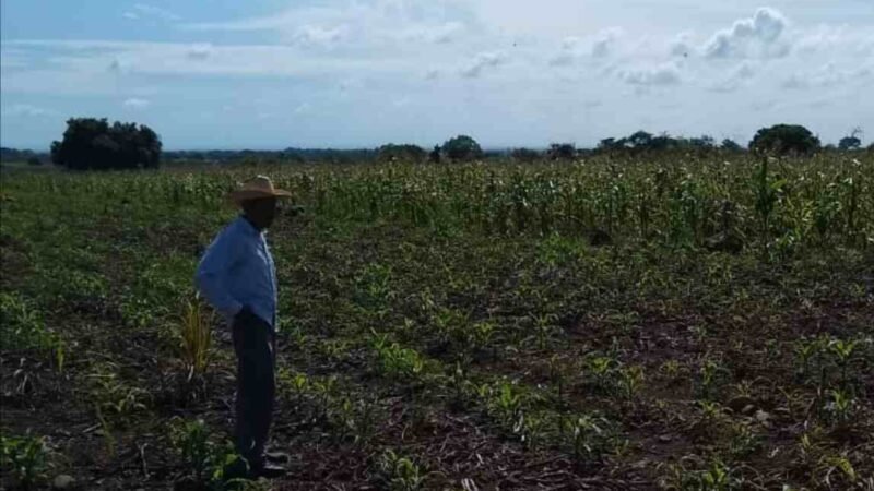 COMAPA CUMPLE DOS AÑOS SIN LLUVIAS