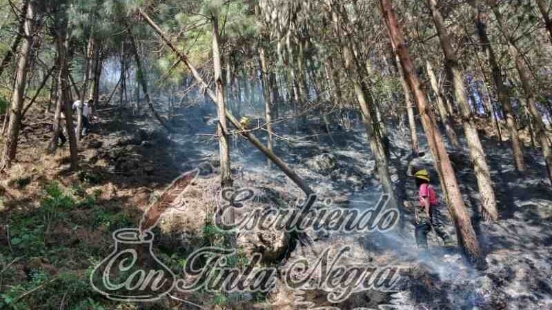 ARDE CERRO EN MAQUILIXHUATLA