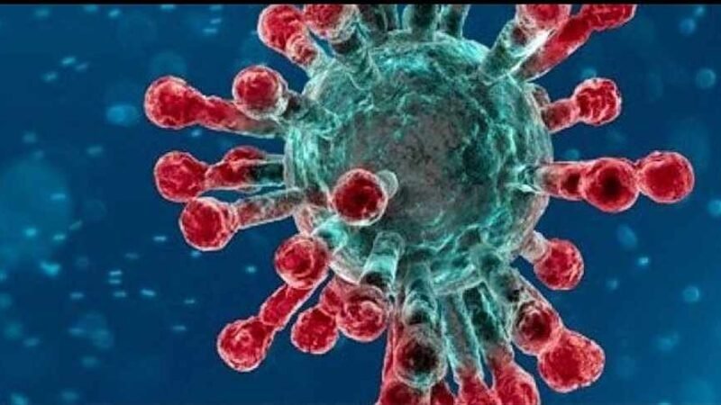 PSICOSIS POR CORONAVIRUS EN LA ZONA