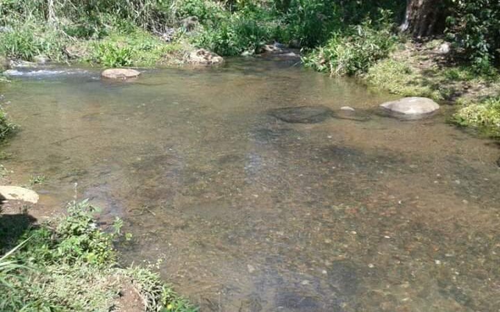 VIOLAN RESTRICCIONES DEL AYUNTAMIENTO EN IXPILA