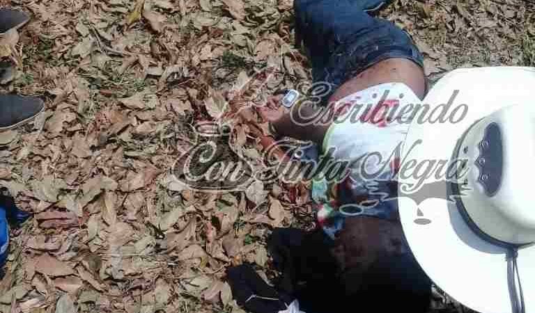 MUERE AL CORTAR UN ÁRBOL