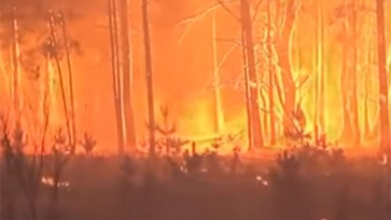 AUMENTA LA RADIACTIVIDAD TRAS INCENDIO CERCA DE CHERNÓBIL
