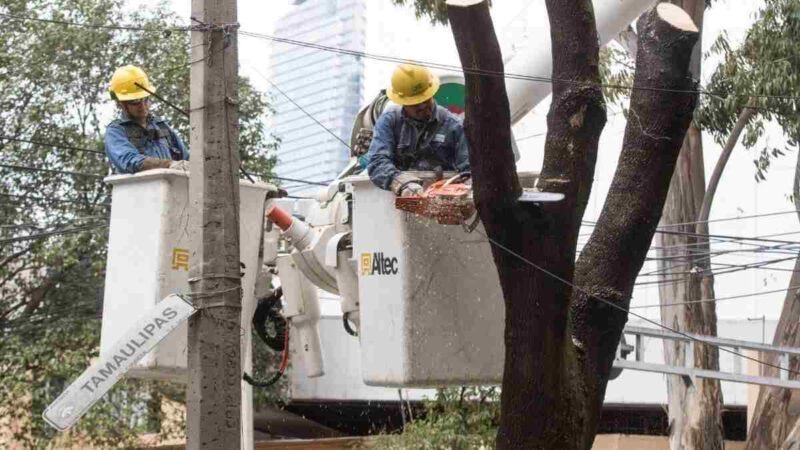 CFE NO CONDONARÁ PAGOS DE ENERGÍA ELÉCTRICA POR CORONAVIRUS