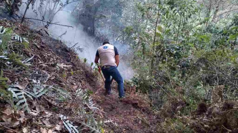 ARDE CERRO DE TECOAC