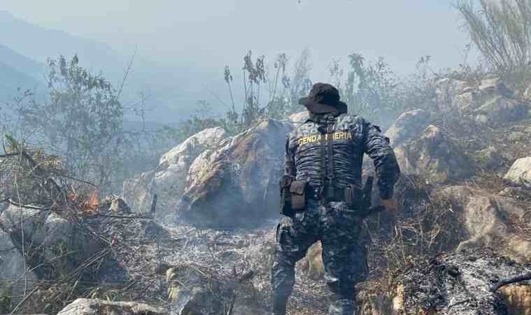 ARDE CERRO EN COETZALA