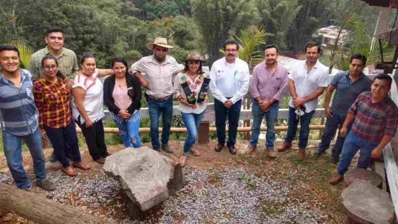 MUESTRAN PROCESOS DE CULTIVOS ORGÁNICOS