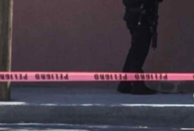 VAN 10 DEFENSORES AMBIENTALES ASESINADOS DURANTE PANDEMIA