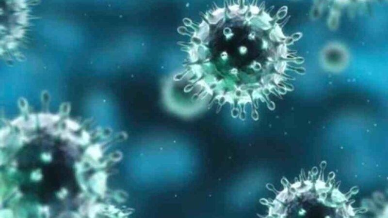 ASEGURA OMS QUE EL ORIGEN DEL CORONAVIRUS ES “NATURAL”