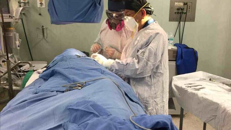 COLOCA IMSS MÁS DE MIL 750 MARCAPASOS