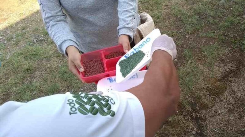 IMPULSAN HUERTOS DE TRASPATIO EN IXHUATLÁN