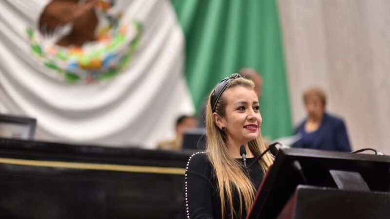 PIDE NORA LAGUNES QUE SE GARANTICEN SERVICIOS DE SALUD A PERSONAS CON CAPACIDADES ESPECIALES