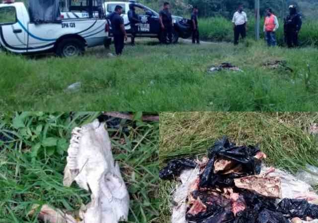 CONFUNDEN RES CON RESTOS HUMANOS