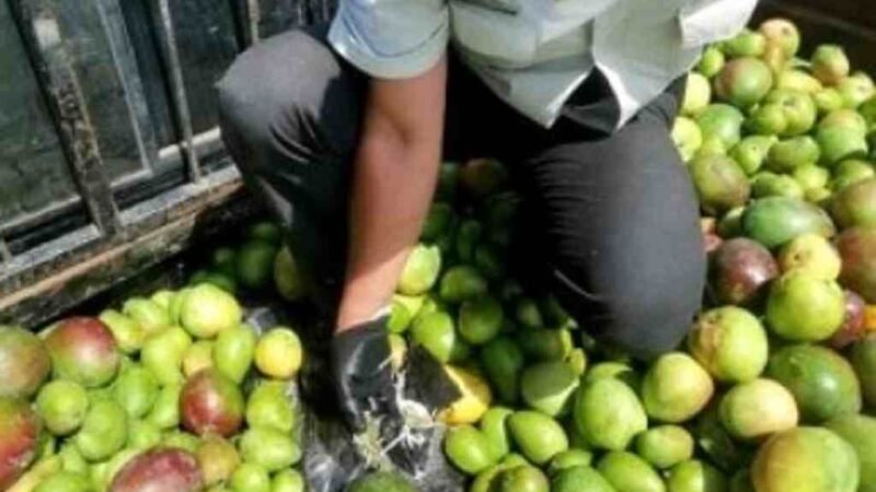 VENDEN MANGOS CON DROGA