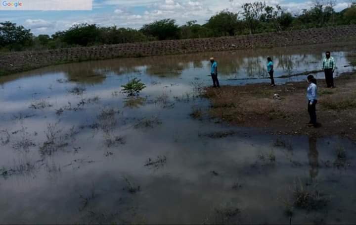 RESPIRA EL CAMPO DE COMAPA