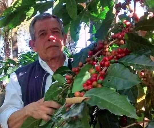PREVÉN CAÍDA DEL 35 POR CIENTO EN PRODUCCIÓN DE CAFÉ