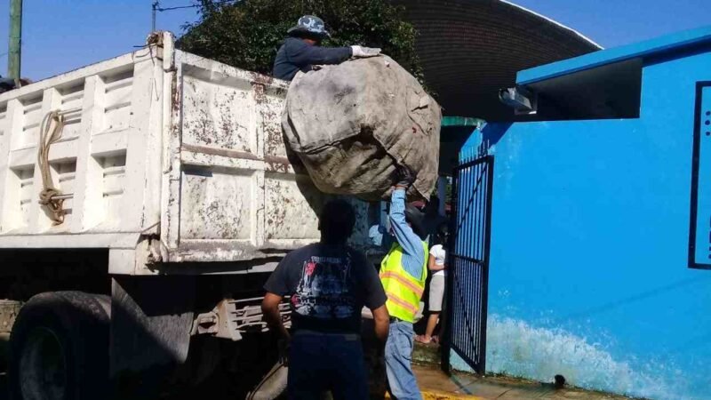 ELIMINAN CRIADEROS DE MOSCO