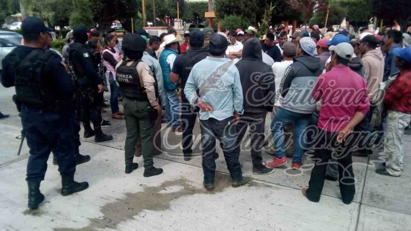 PIDEN UN ALTO A LA TALA CLANDESTINA