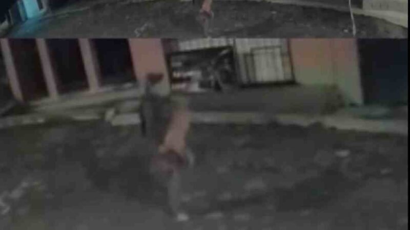 OLA DE ROBOS EN COSCOMATEPEC