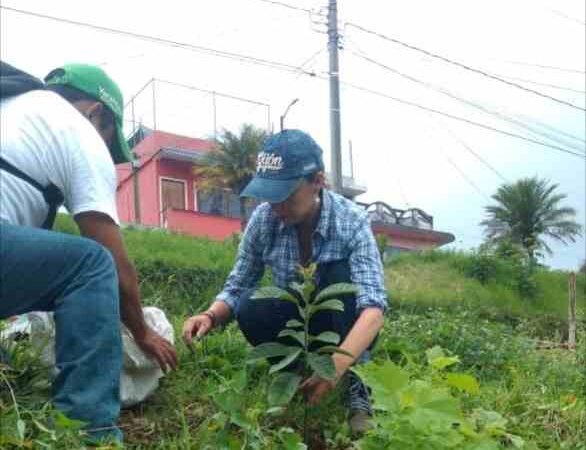 PLANTAN ÁRBOLES EN IXHUATLÁN
