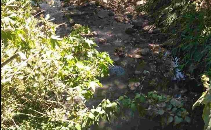 AGUAS NEGRAS DE COSCO SE VAN DIRECTO A RÍOS Y ARROYOS