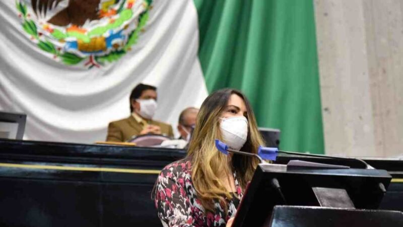 PROPONE DIPUTADA PLAZOS PARA ELEGIR A DIRECTORA DEL IVM