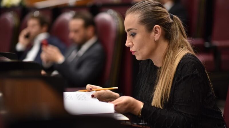 PIDE NORA LAGUNES REFORZAR ACCIONES CONTRA EL DENGUE