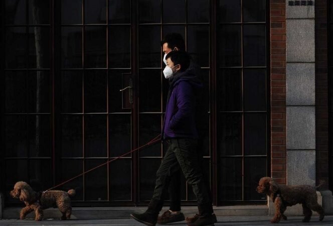 ENCUENTRAN EN COREA DEL SUR CEPA DEL COVID-19 SEIS VECES MÁS INFECCIOSA QUE LA ORIGINAL