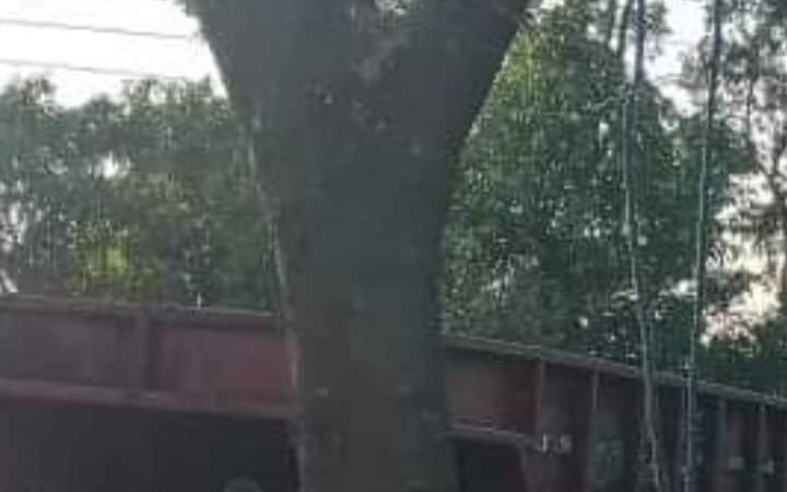 SE SUICIDA ADOLESCENTE