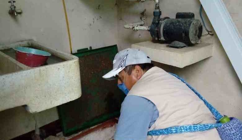 ELIMINAN CRIADEROS DE MOSCOS EN IXHUATLÁN