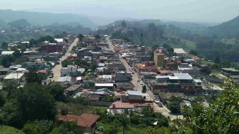 TEMEN BROTE DE CORONAVIRUS EN ALPATLÁHUAC