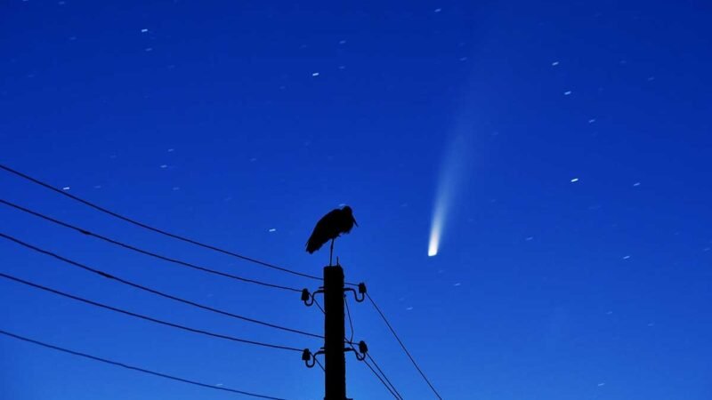 CONOCE A ‘NEOWISE’, EL COMETA QUE ESTÁ DE PASO POR LA TIERRA