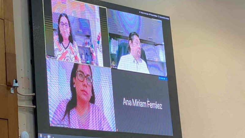 PRESENTAN LINEAMIENTOS PARA ELEGIR A TITULAR DEL INSTITUTO VERACRUZANO DE LA MUJER