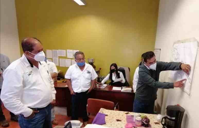 DEFINEN PROTOCOLOS PARA ENFRENTAR LA PLAGA DE LANGOSTAS