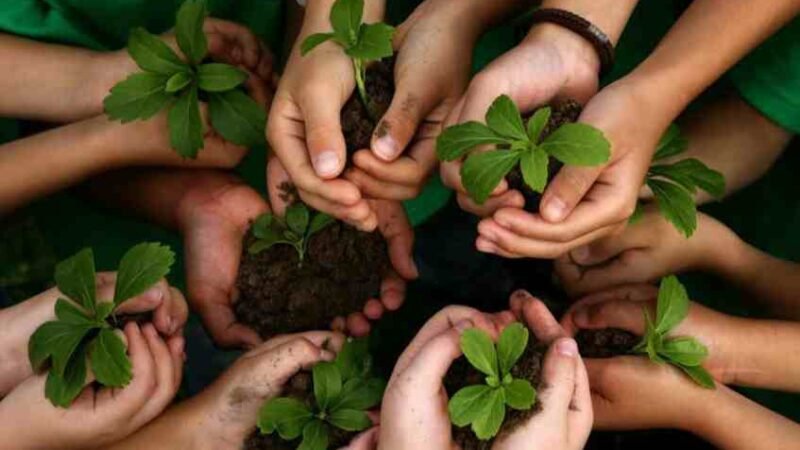 IMPULSAN PARTICIPACIÓN DE JÓVENES EN CUIDADO DEL MEDIO AMBIENTE