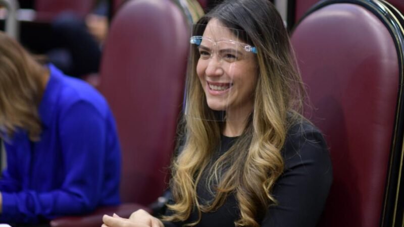 DIPUTADA PIDE QUE AUTORIDADES INCLUYAN LENGUAJE DE SEÑAS EN TRANSMISIONES