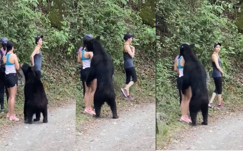 OSO SORPRENDE A JÓVENES EN PARQUE ECOLÓGICO