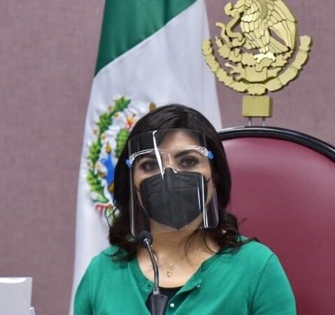 PROPONEN MÉTODO PARA MODERNIZAR PROCESO DE ELECCIÓN DE COMISIONADOS DEL IVAI