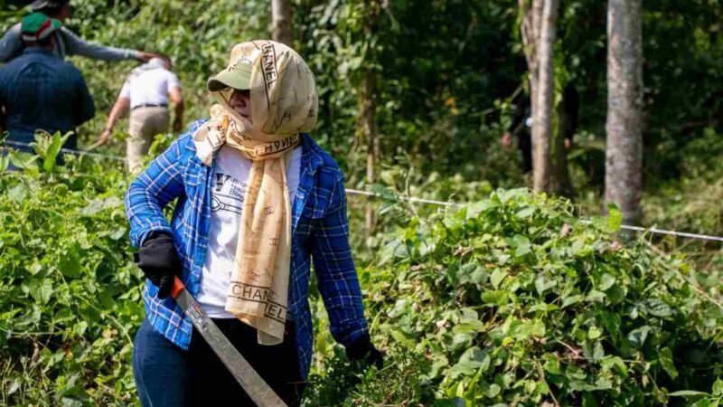 REINICIARÁN BÚSQUEDA DE DESAPARECIDOS EN EL ESTADO
