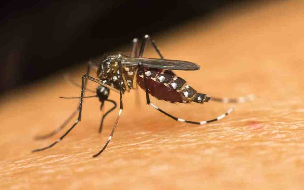 VERACRUZ, SEGUNDO LUGAR EN DENGUE