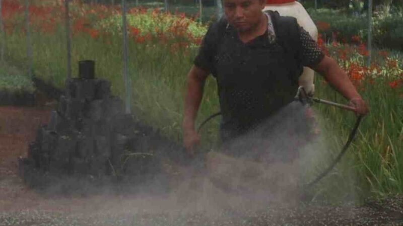 IRRACIONAL USO DE HERBICIDAS EN MÉXICO: SEMARNAT