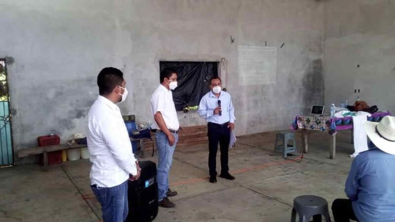 FORTALECEN A SECTOR LIMONERO DE LA ZONA