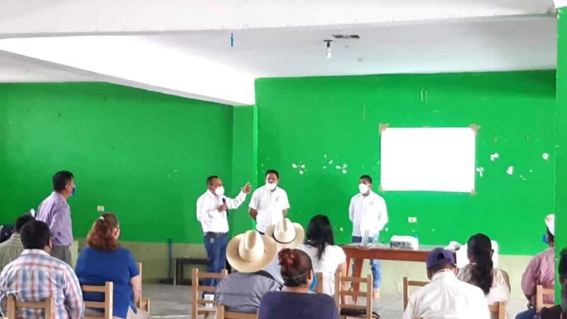 CAPACITAN A PRODUCTORES DE LIMÓN DE TENAMPA