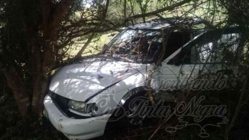 SE SALE TSURU DE LA CARRETERA