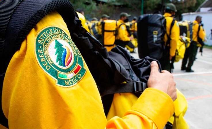 COMBATIRÁN 101 MEXICANOS LOS INCENDIOS EN CALIFORNIA, EN EU